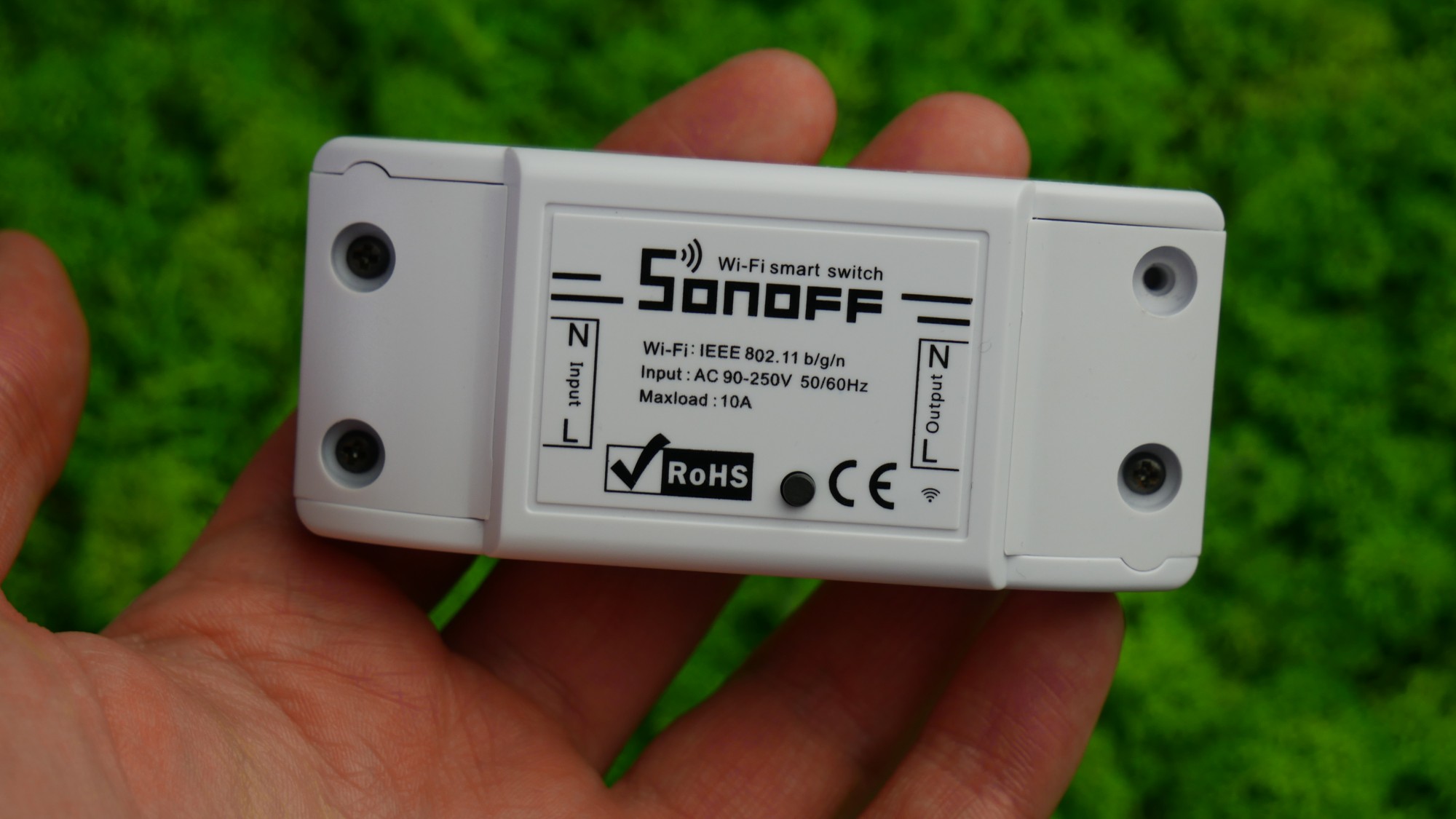 Sonoff Basic WiFi / fot. Kacper Żarski