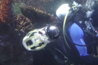 Squidbot - robot jak z Matrixa będzie badał rafy koralowe