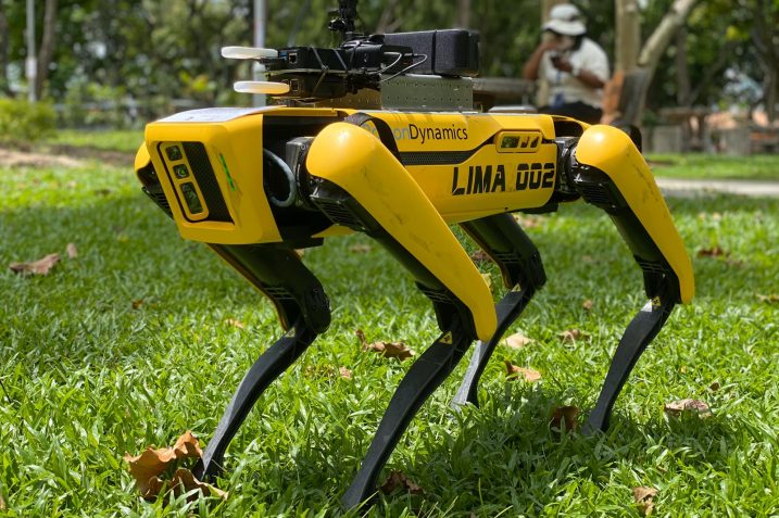 Obrazek przedstawia Spota, robota firmy Boston Dynamics.