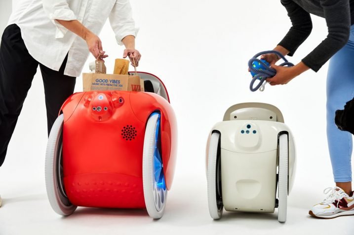Robot Gitamini