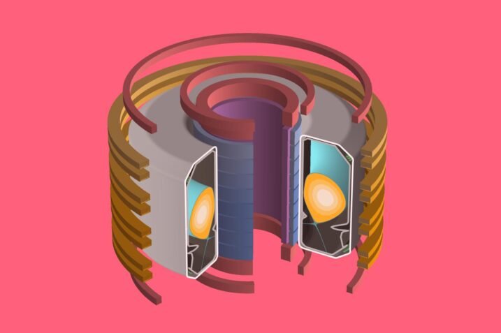 schemat przedstawiający przekrój przez tokamak