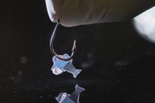 Bioniczny robot (Źrodło: seas.harvard.edu)