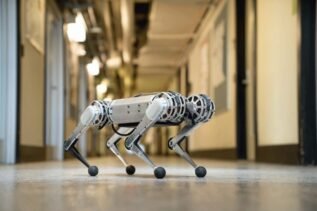 Mini Cheetah - robot, który może biegać sprintem