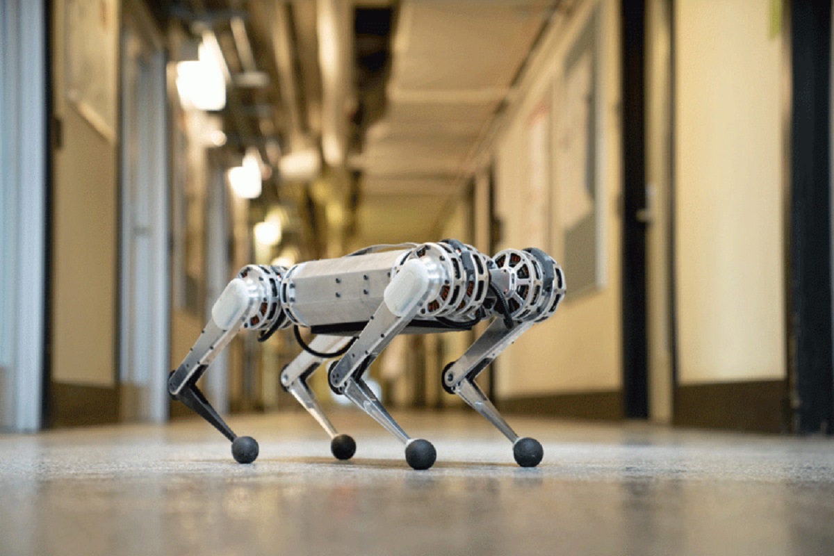 Mini Cheetah - robot, który może biegać sprintem