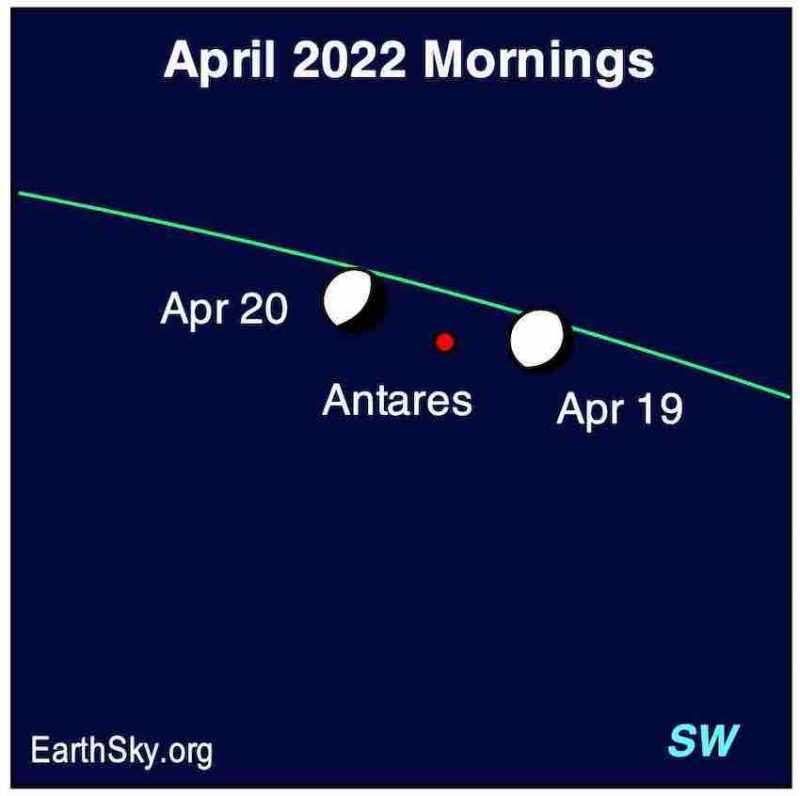 W kwietniu zobaczmy gołym okiem Wenus, Marsa, Jowisza i Saturna