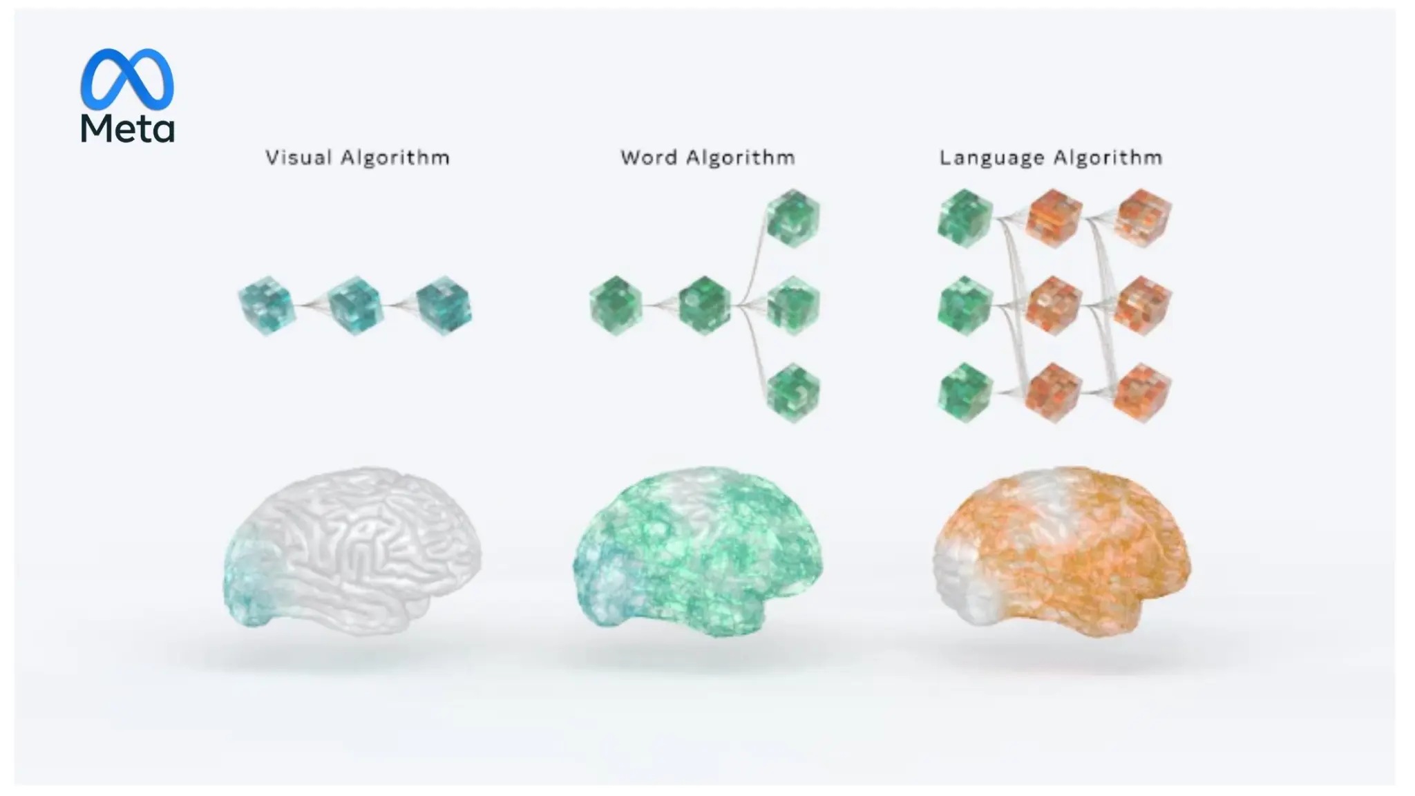 Meta tworzy model AI na wzór ludzkiego mózgu
