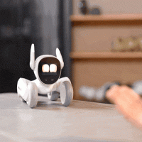 Loona imponujący robot petbot Oiot