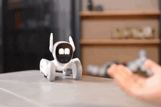 Loona imponujący robot petbot Oiot