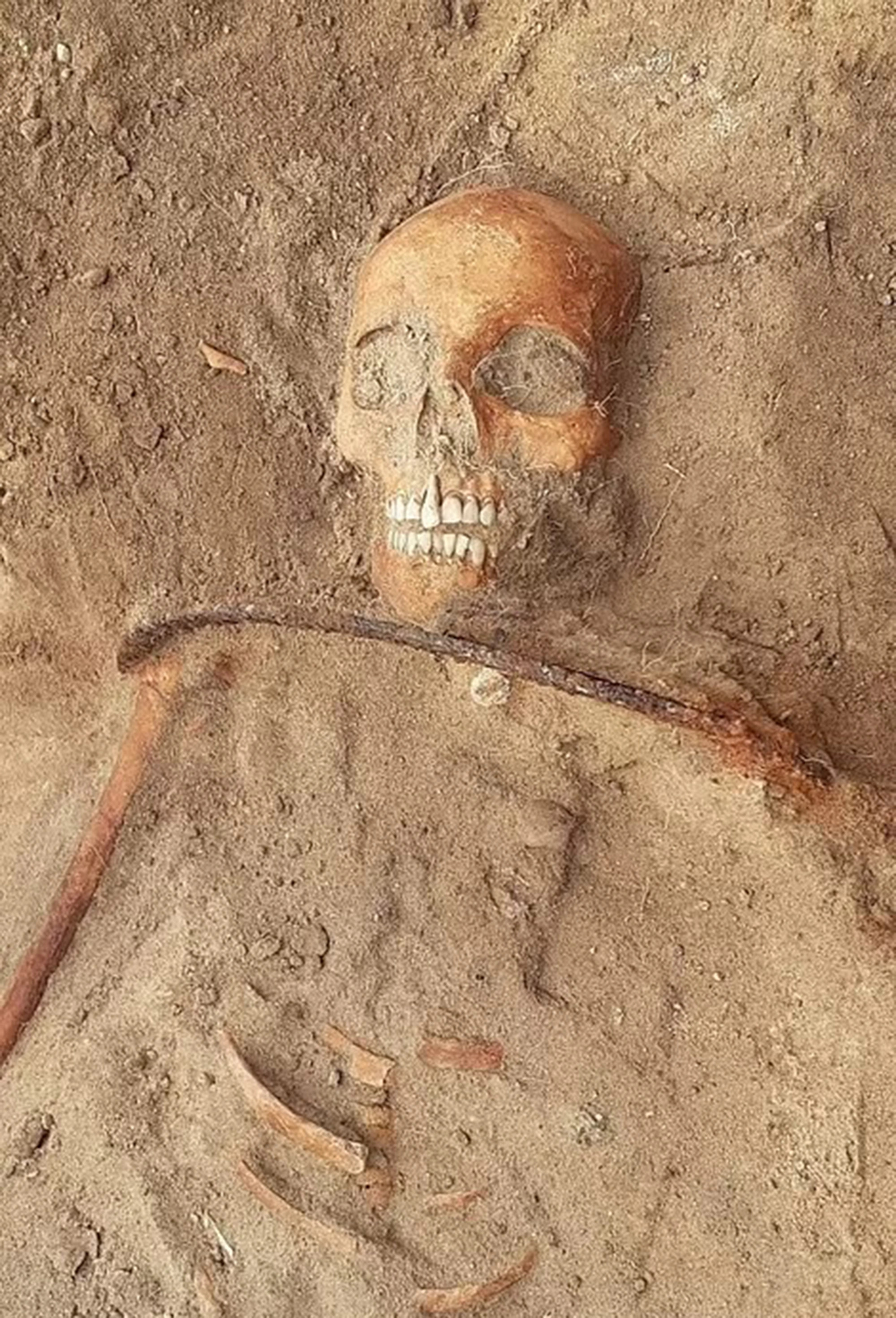 Wampir szkielet znaleziony w Polsce