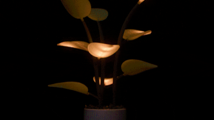 Fluora Mini, czyli trochę kwiat, trochę lampka