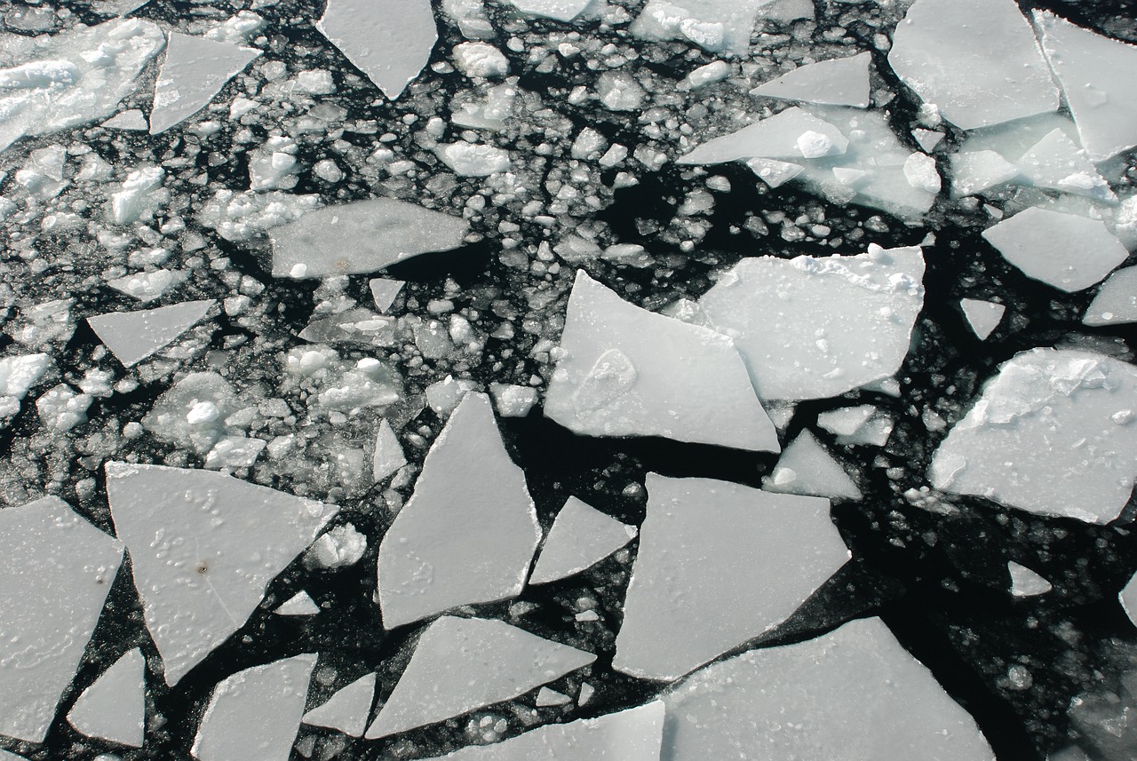 Topnienie lodu arktycznego a zakwaszenie oceanów
