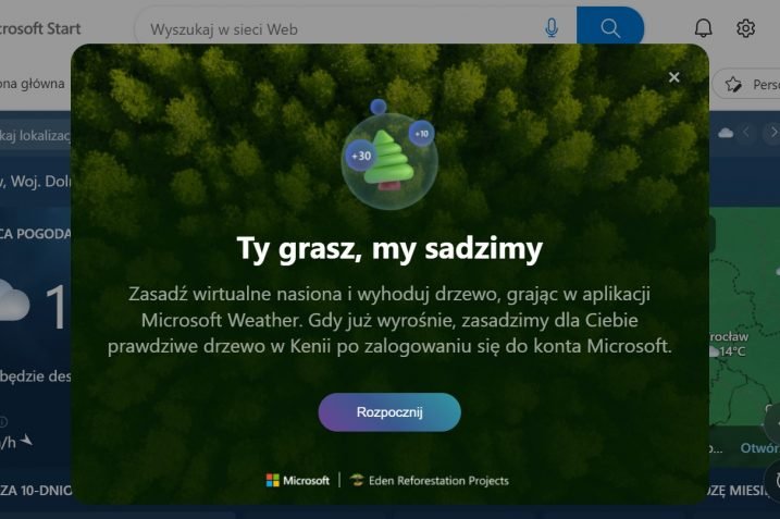 Microsoft z naszą pomocą zasadzi drzewa w Kenii