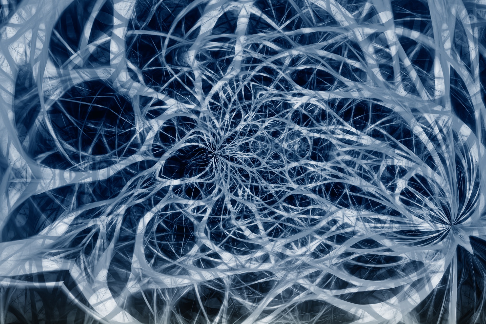 Sieć nerwów