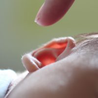 Ucho, mechanizm słuchu