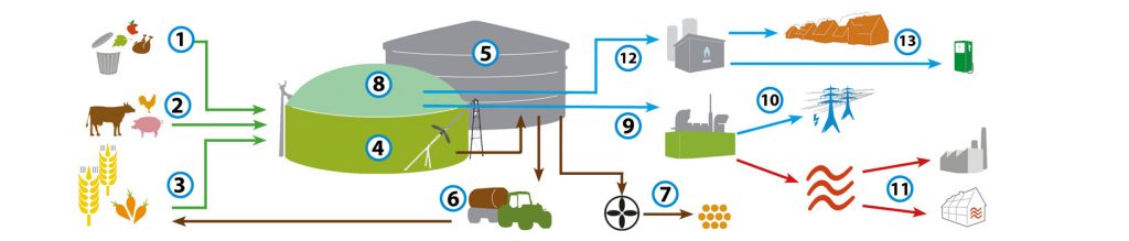 Produkcja biogazu, źródło: Weltec-Biopower
