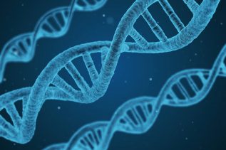 OpenBioML - biotechnologia i DNA