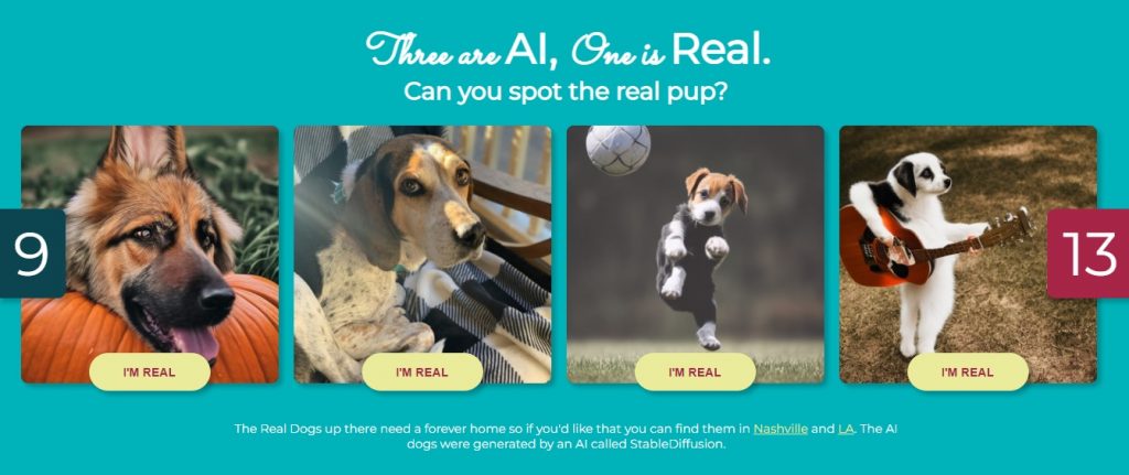 Gra AI, która zachęca do adopcji psa. Najpierw zgadnij czy jest prawdziwy