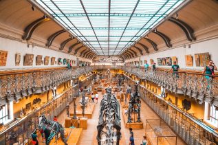 Muzeum dinozaurów, źródło: PIxabay