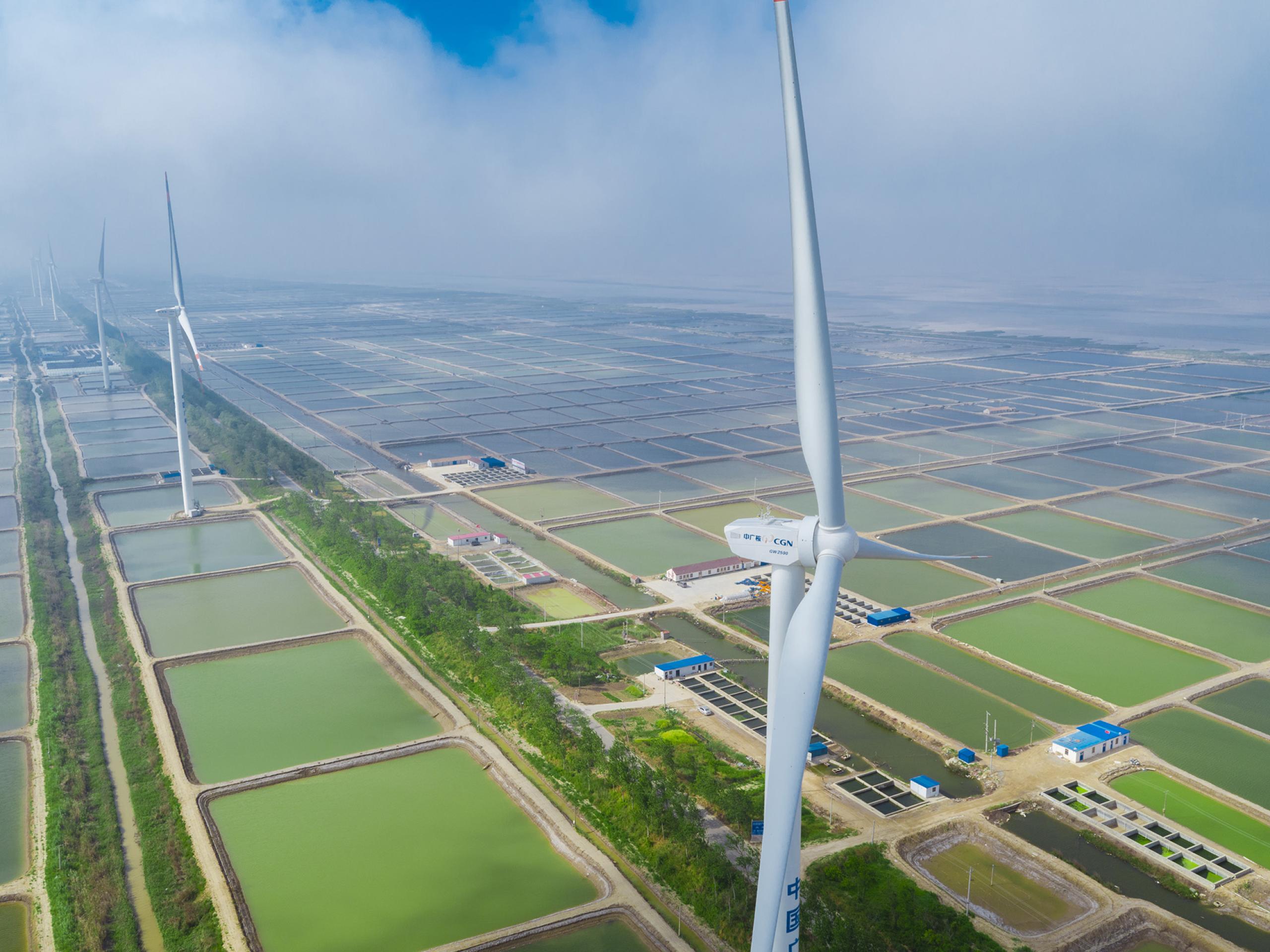 Farma wiatrowa w Chinach, źródło: Goldwind
