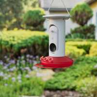 Karmnik dla kolibrów Bird Buddy (Źródło: Bird Buddy)