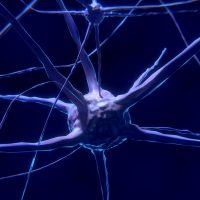 Komórki nerwowe, neurony, mózg AI (źródło: Pixabay) https://pixabay.com/pl/illustrations/kom%c3%b3rki-nerwowe-neurony-2213009/