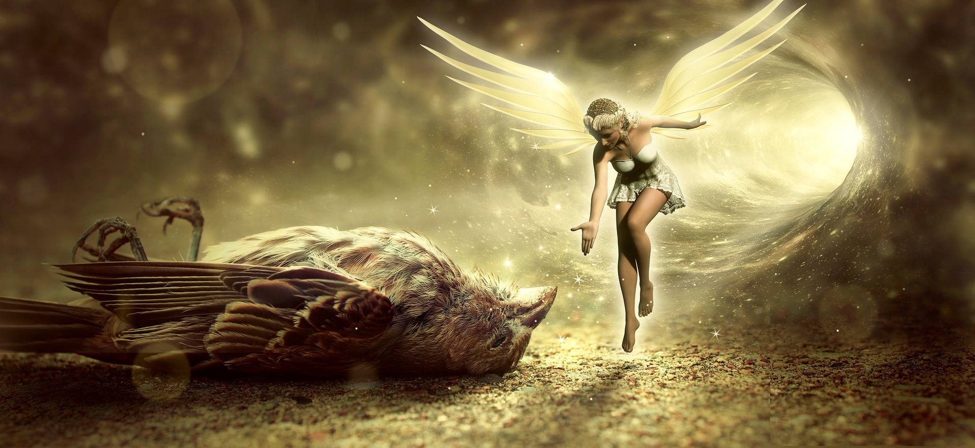 Wróżka Fairy (źródło: Pixabay)