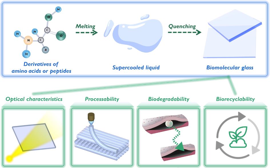 Biodegradowalne szkło (Źródło: science)