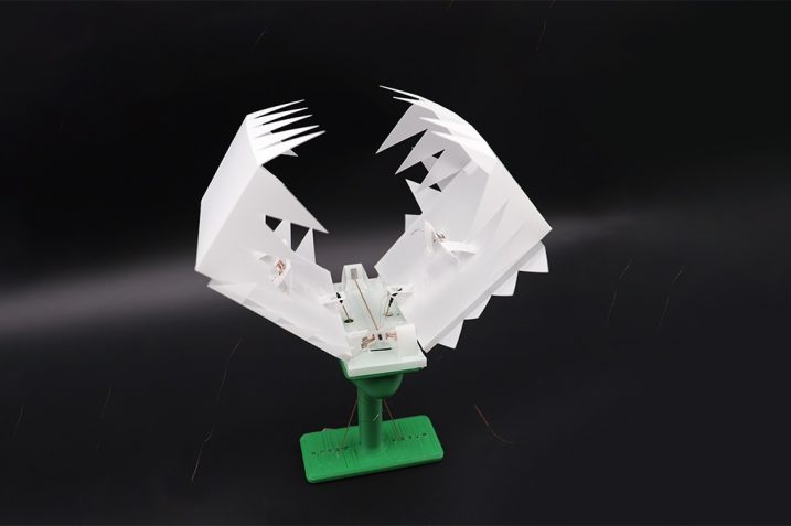 Robot origami w postaci pułapki na muchy Wenus (źródło: UCLA Samueli School of Engineering)