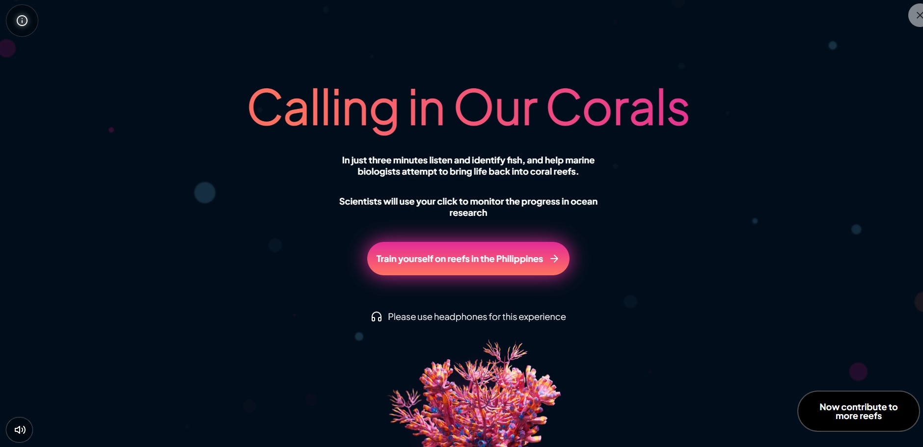 (źródło: Calling in Our Corals)