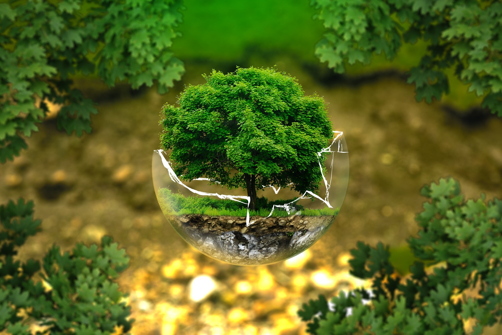 Ekologia i ochrona środowiska (źródło: Pixabay)