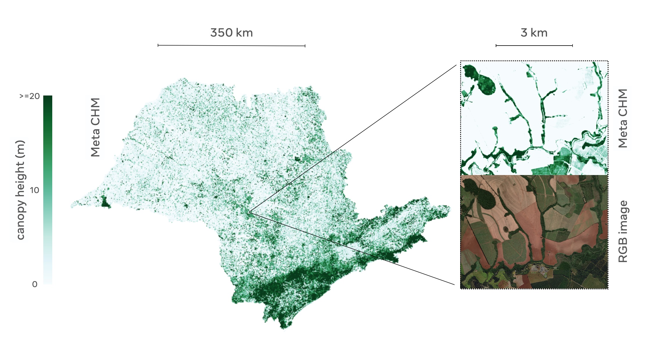 Mapa wysokości koron drzew dla Sao Paulo (źródło: Meta)