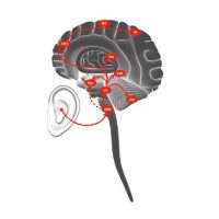 Słuchawka pobudzi nerwy do regeneracji i szybszego powrotu do zdrowia (Źródło:ethz)