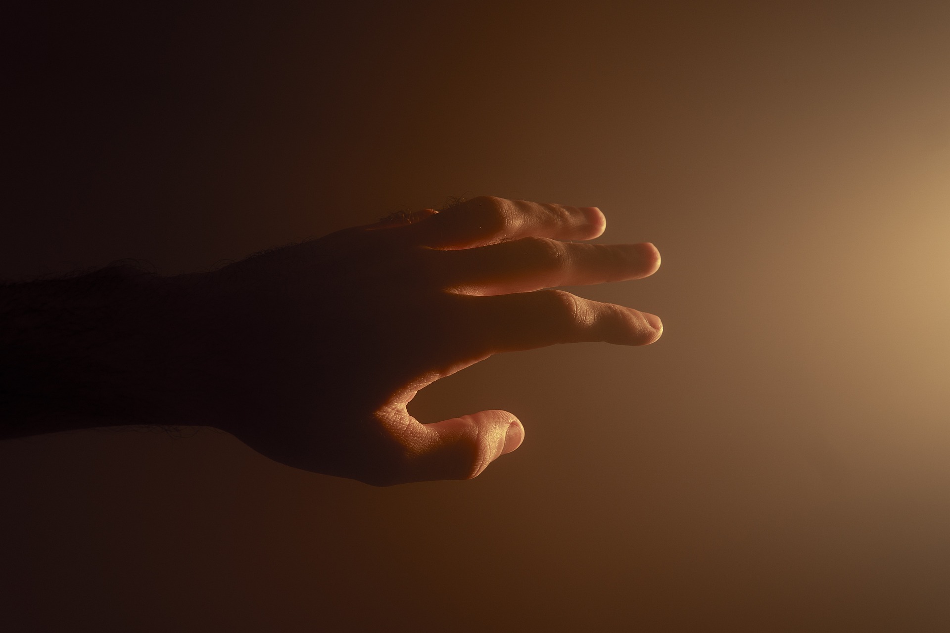 Ludzka dłoń (źródło: Pixabay)