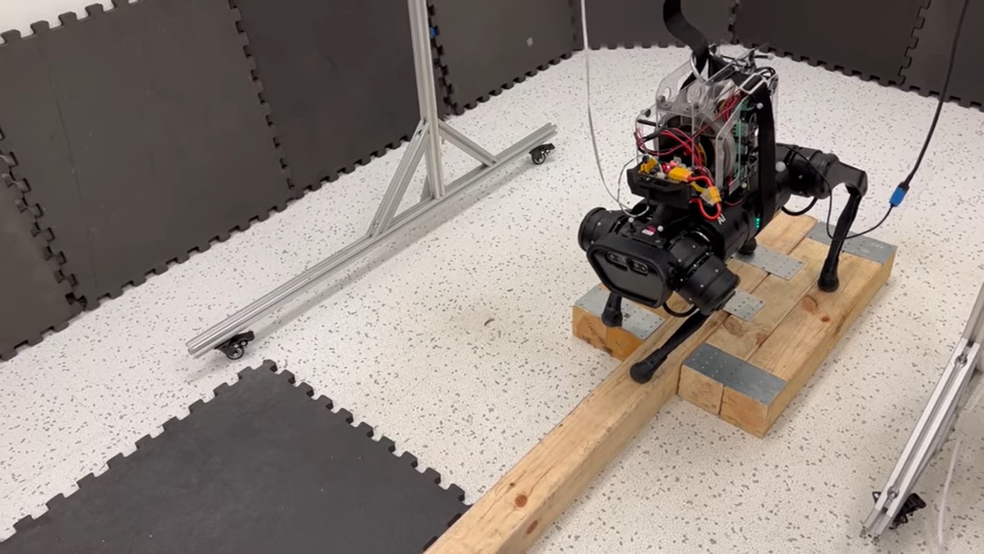 robot czworonożny kroczący równoważnią