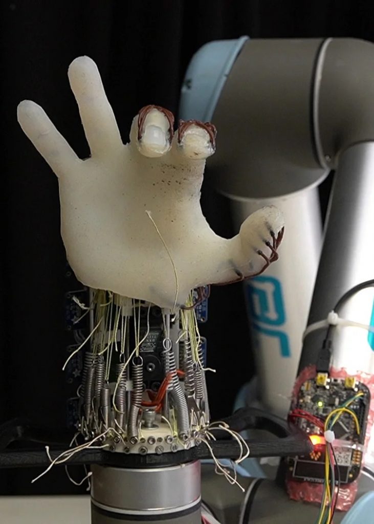 Robotyczna ręka (źródło: University of Cambridge)