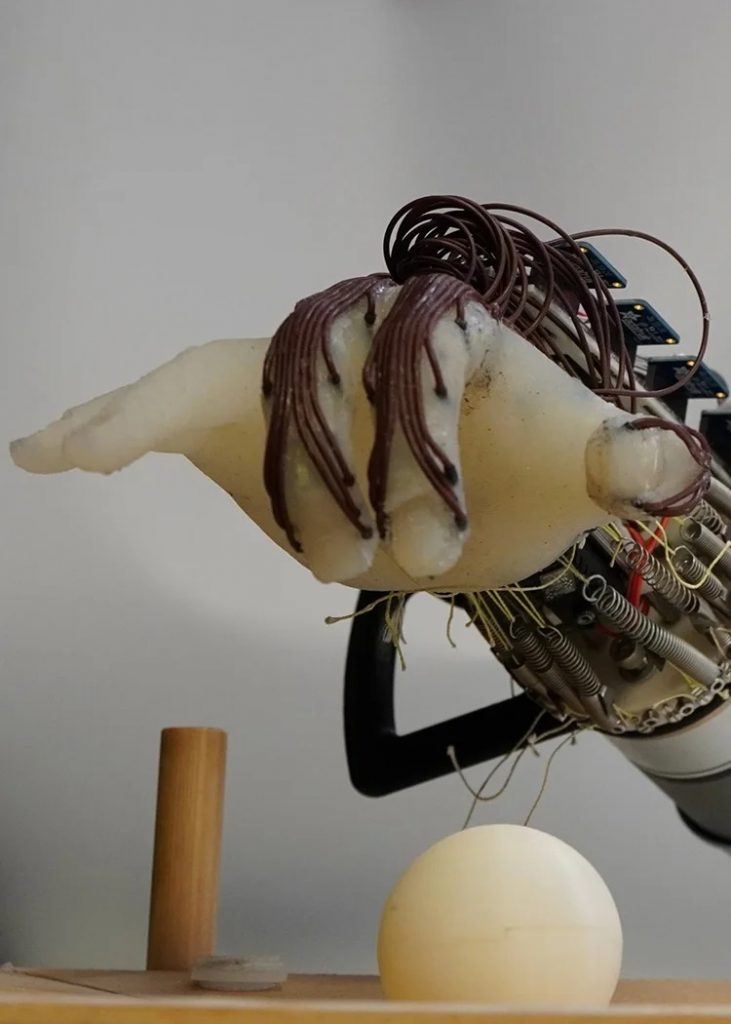 Robotyczna ręka (źródło: University of Cambridge)