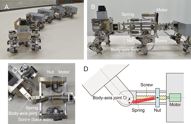 Robot Myriapod i mechanizm elastyczności w różnych osiach ciała (źródło: liebertpub.com)