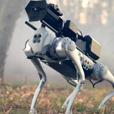 Robot Thermonator (Źródło: https://throwflame.com/products/thermonator-robodog/)