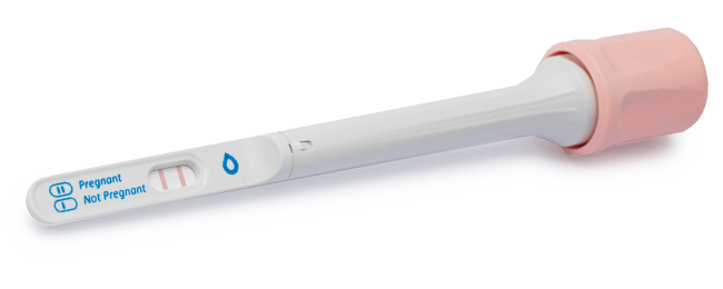 Test ciążowy SaliStick (Źródło: salignostics)