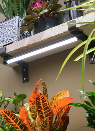 Lampka Grove LED Grow Light (źródło: Soltech)