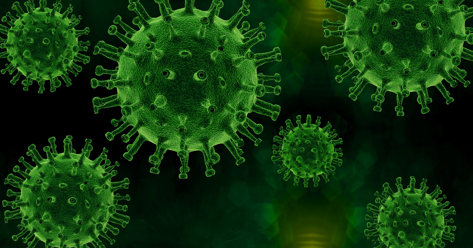 Wirus (źródło: Pixabay)