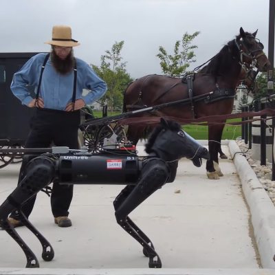 Robot kontra koń (źródło: YouTube)