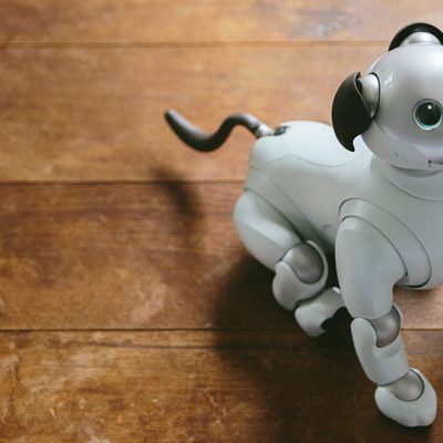 Robotyczny pies (źródło: AIBO)