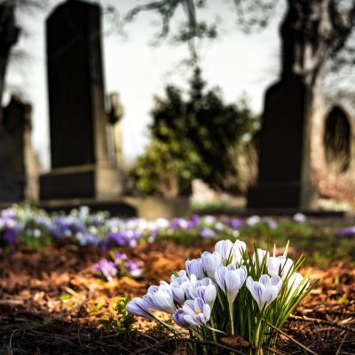 Cmentarz (źródło: Pixabay)
