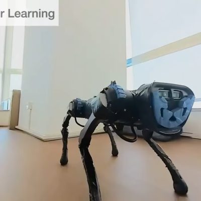 Robotyczny pies (źródło: YouTube/Zipeng Fu)