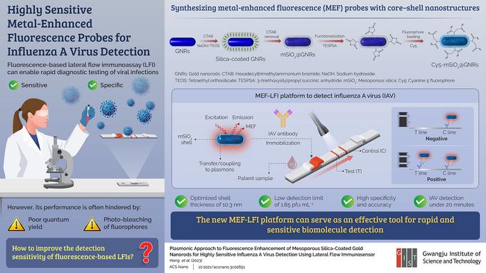 Nowa platforma LFI oparta na wzmocnionej metalem fluorescencji może wykryć wirusa grypy A (źródło: Profesor Min-Gon Kim, gist.ac.kr)