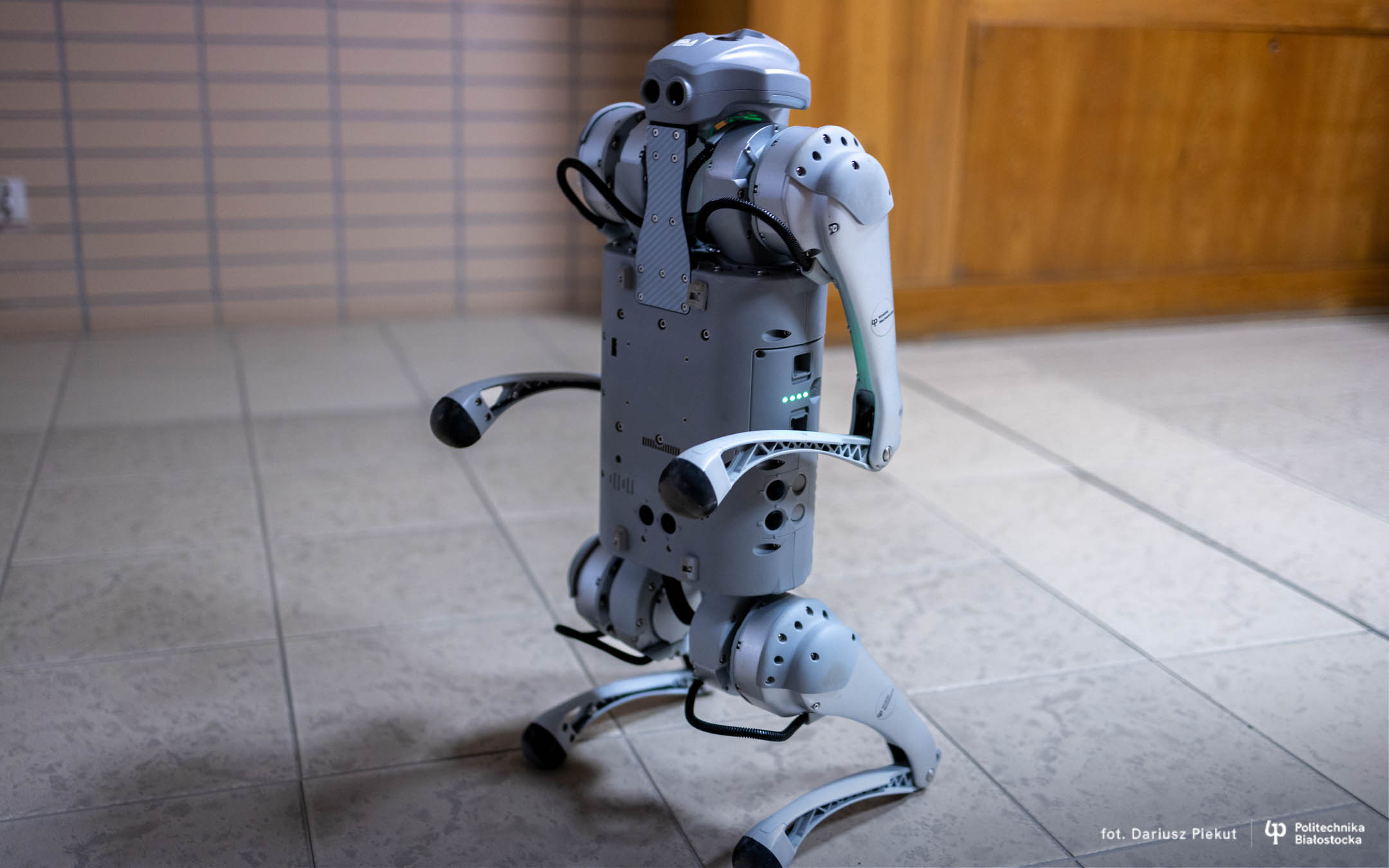 Robotyczny pies (źródło: Politechnika Białostocka)