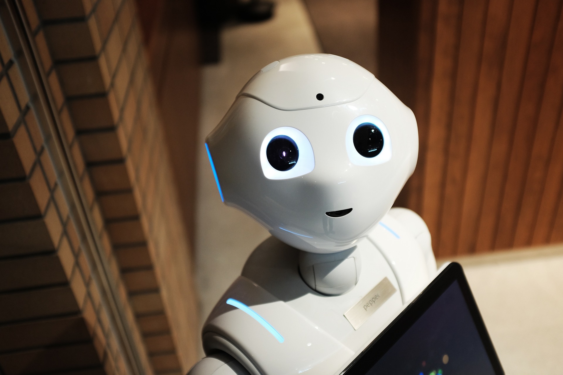 robot (źródło: Pixabay)