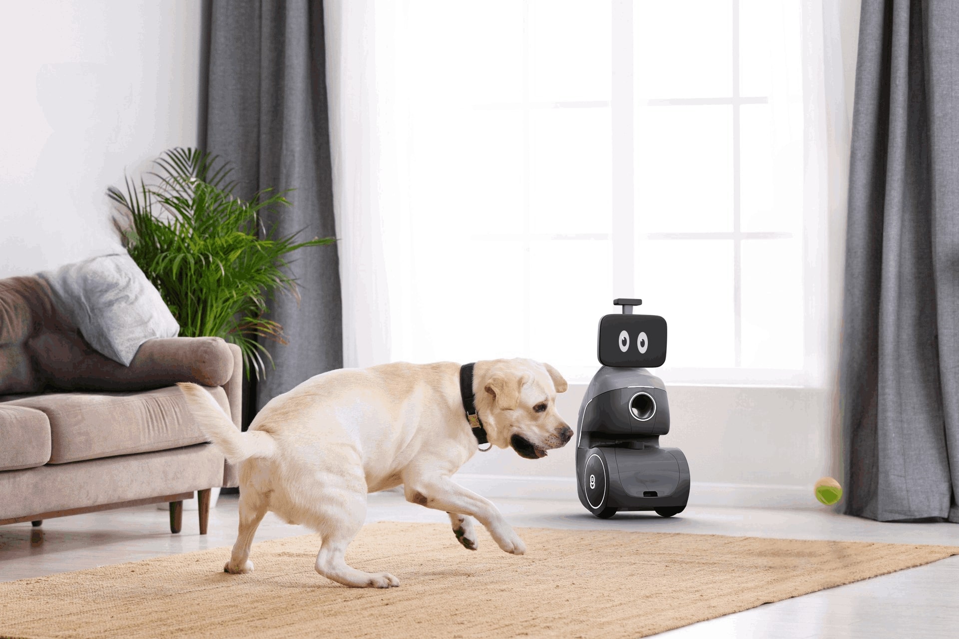 Robot towarzyszący dla psa ORo Dog (źródło: OGMEN)