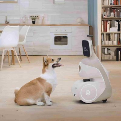 Robot towarzyszący dla psa ORo Dog (źródło: OGMEN)